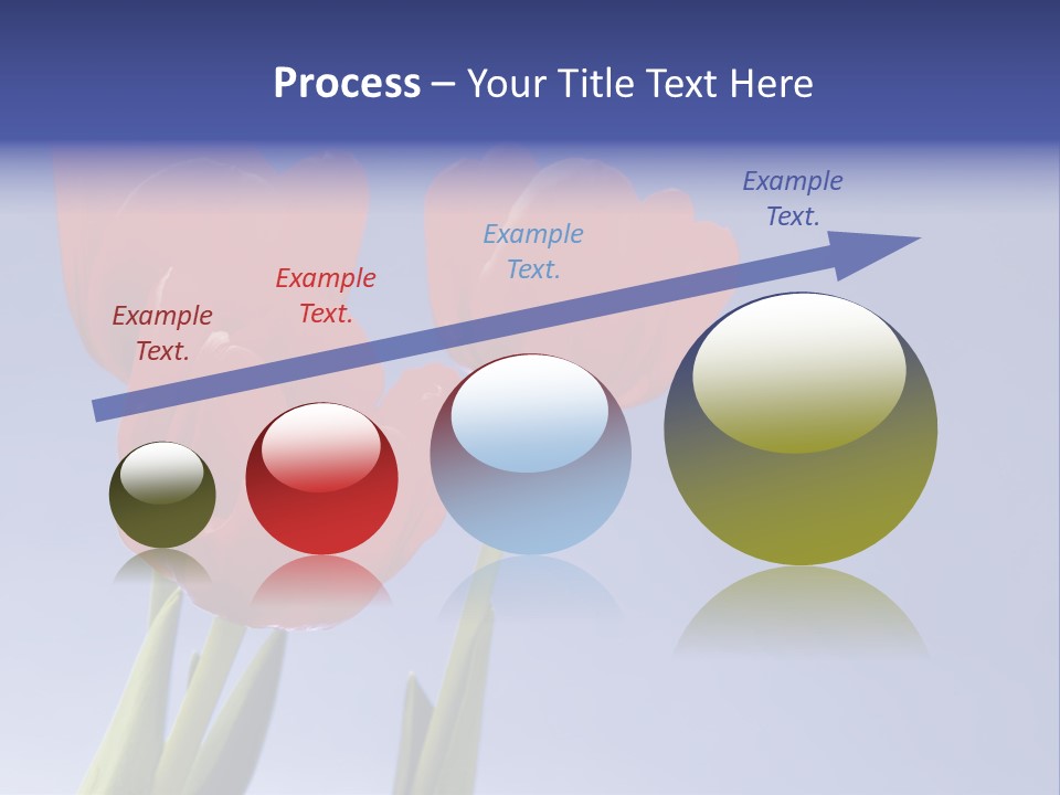 Image Of Red Tulips Against Vivid Blue PowerPoint Template