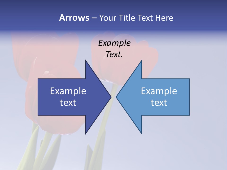 Image Of Red Tulips Against Vivid Blue PowerPoint Template