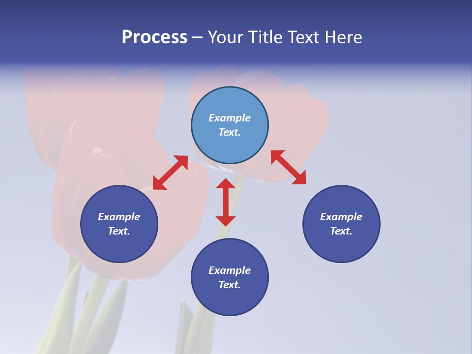 Image Of Red Tulips Against Vivid Blue PowerPoint Template