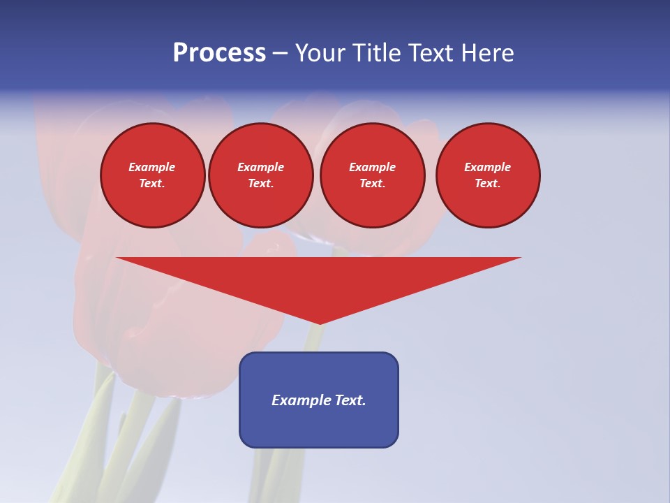 Image Of Red Tulips Against Vivid Blue PowerPoint Template