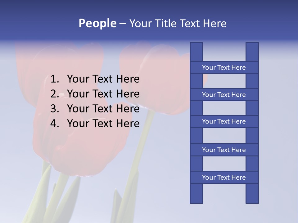 Image Of Red Tulips Against Vivid Blue PowerPoint Template