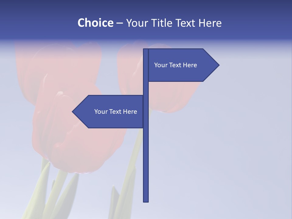 Image Of Red Tulips Against Vivid Blue PowerPoint Template