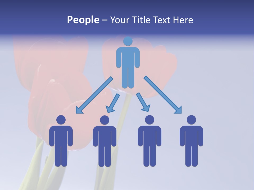 Image Of Red Tulips Against Vivid Blue PowerPoint Template