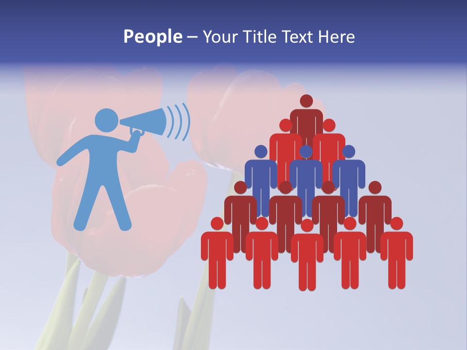 Image Of Red Tulips Against Vivid Blue PowerPoint Template