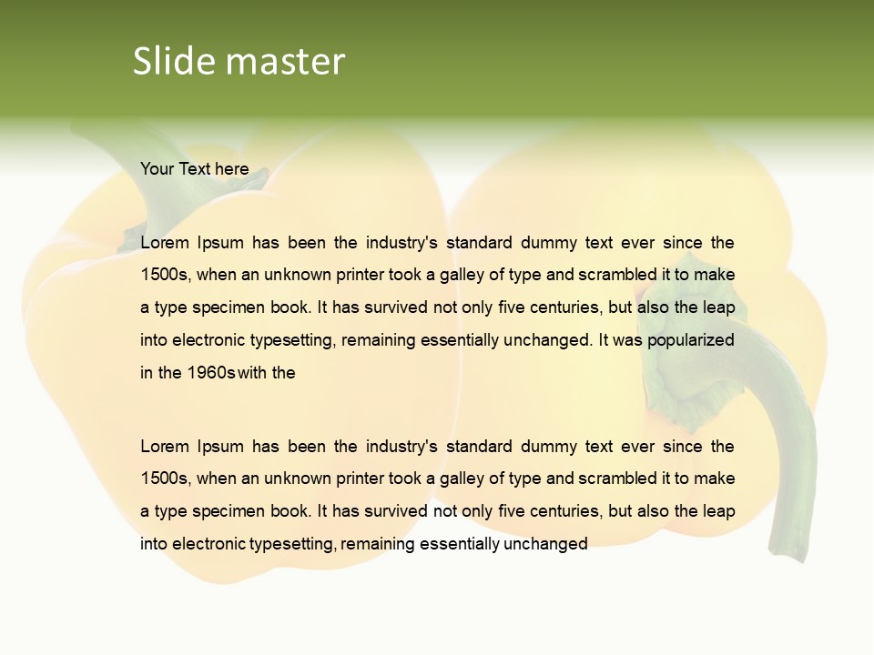 Cute Brown Gerbil Sitting In A Shoe Isolated On White PowerPoint Template