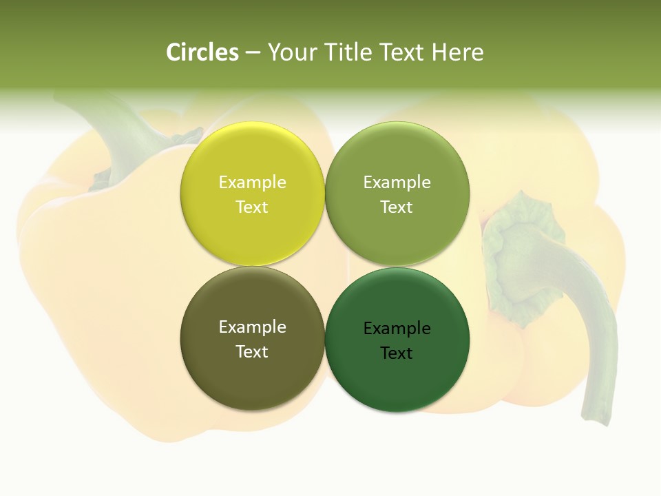 Cute Brown Gerbil Sitting In A Shoe Isolated On White PowerPoint Template