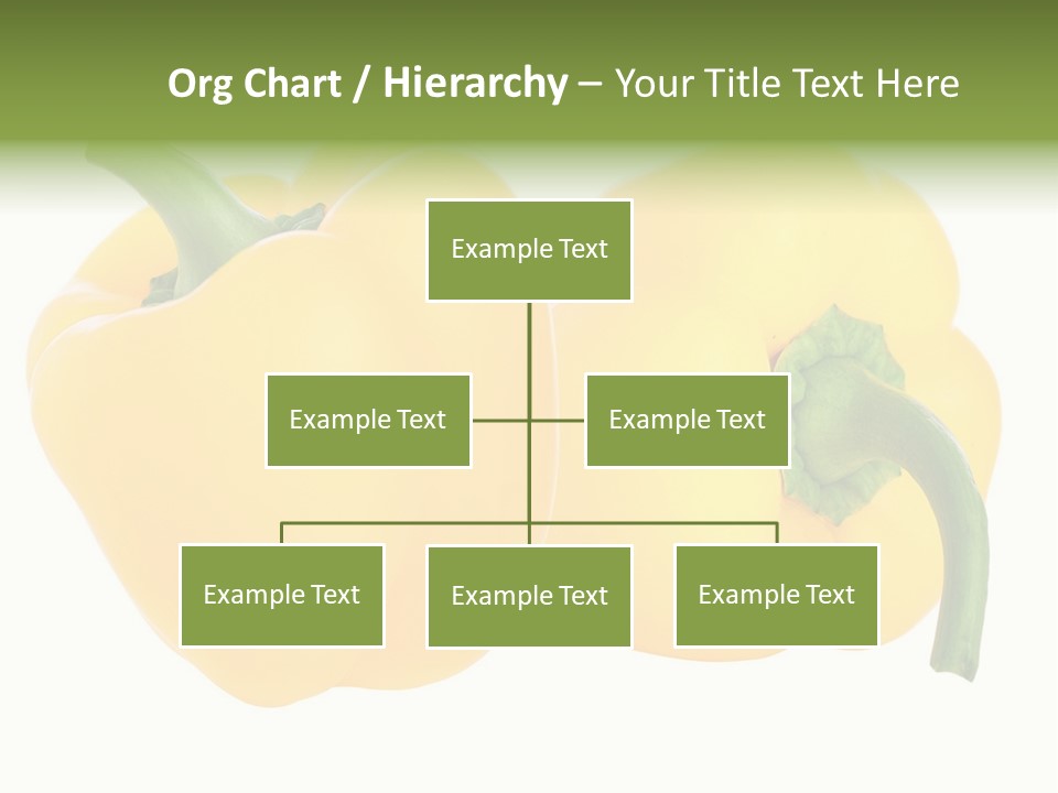 Cute Brown Gerbil Sitting In A Shoe Isolated On White PowerPoint Template