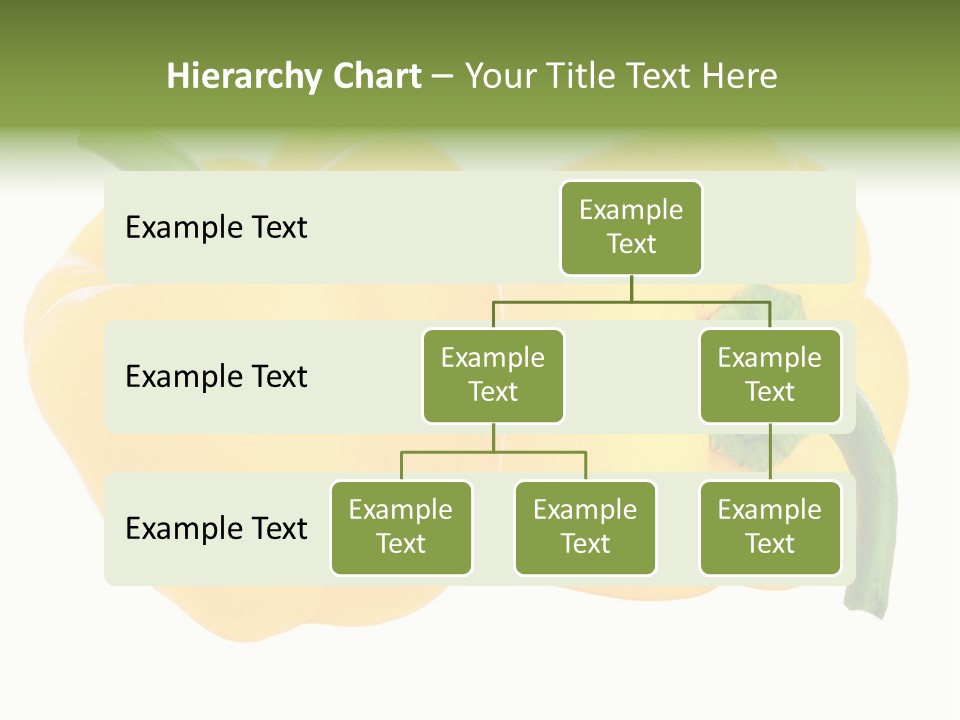 Cute Brown Gerbil Sitting In A Shoe Isolated On White PowerPoint Template