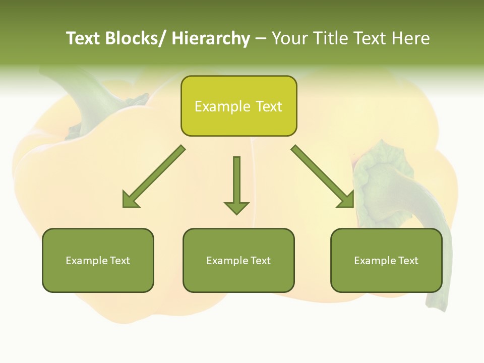 Cute Brown Gerbil Sitting In A Shoe Isolated On White PowerPoint Template