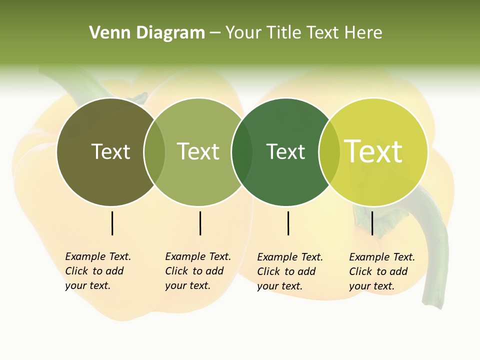 Cute Brown Gerbil Sitting In A Shoe Isolated On White PowerPoint Template