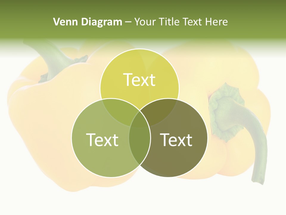 Cute Brown Gerbil Sitting In A Shoe Isolated On White PowerPoint Template