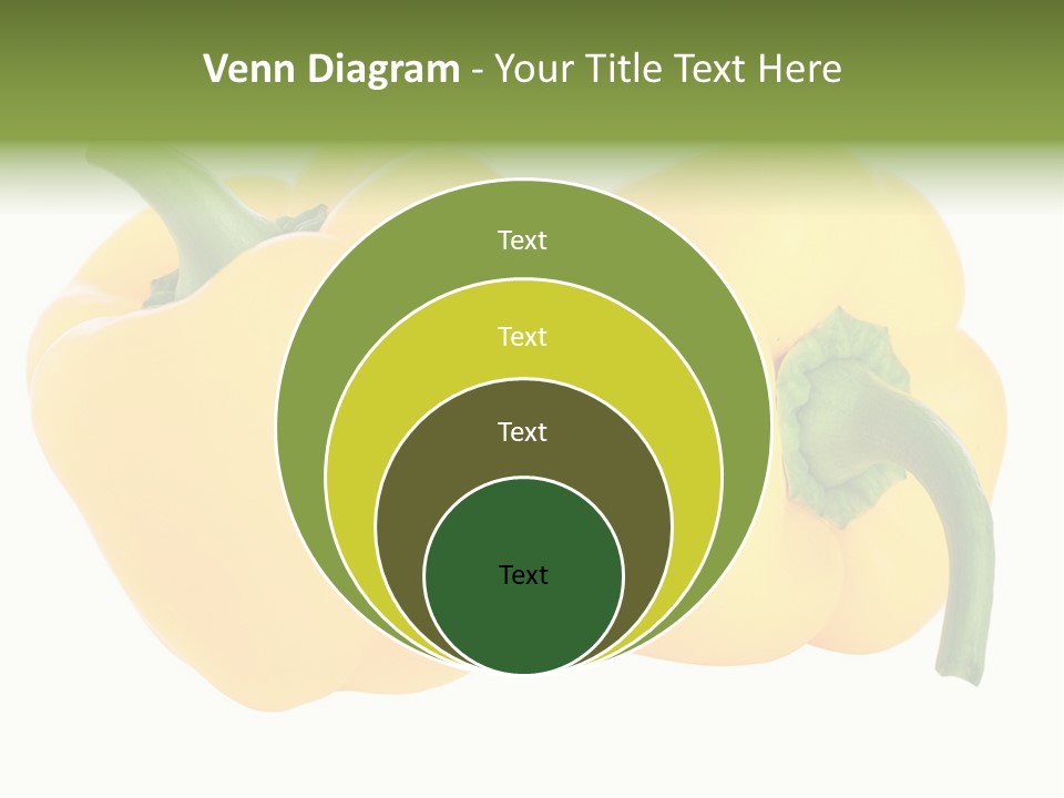 Cute Brown Gerbil Sitting In A Shoe Isolated On White PowerPoint Template