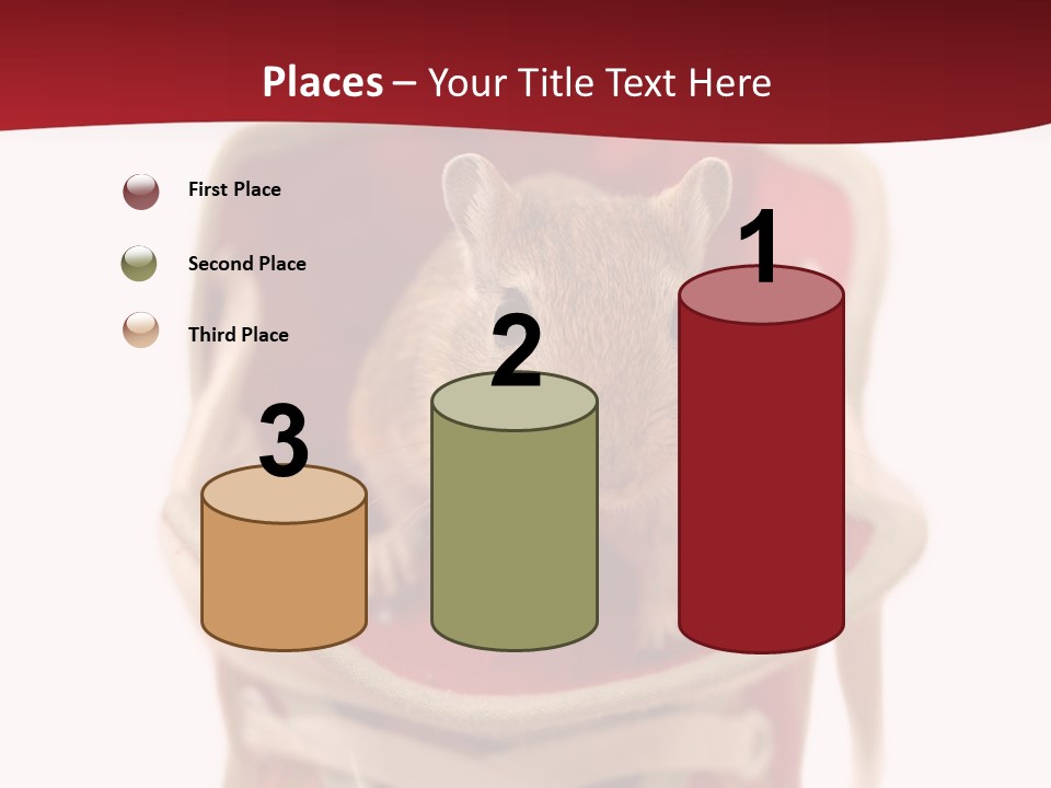 Cute Brown Gerbil Sitting In A Shoe Isolated On White PowerPoint Template