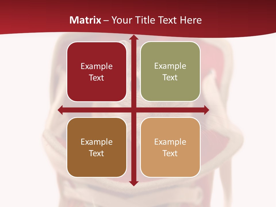 Cute Brown Gerbil Sitting In A Shoe Isolated On White PowerPoint Template