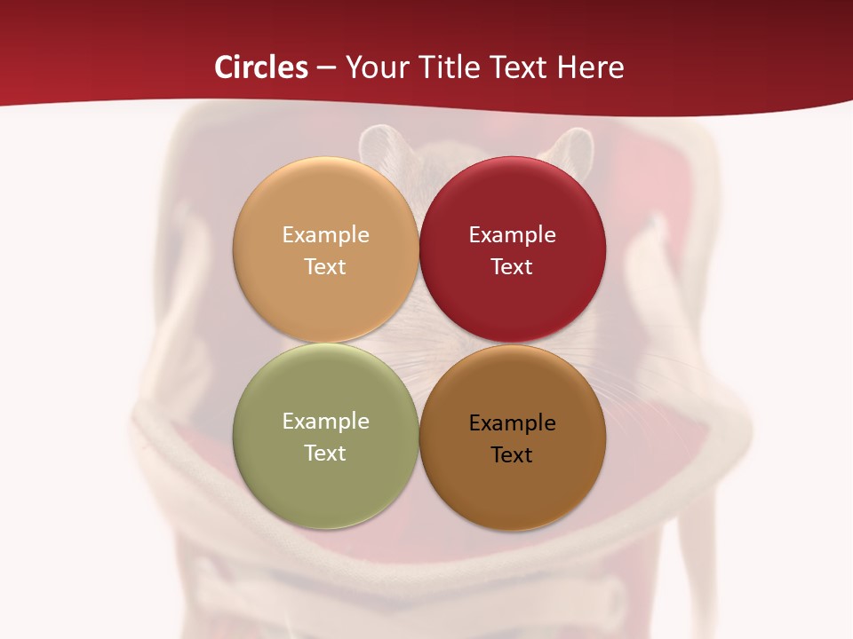 Cute Brown Gerbil Sitting In A Shoe Isolated On White PowerPoint Template