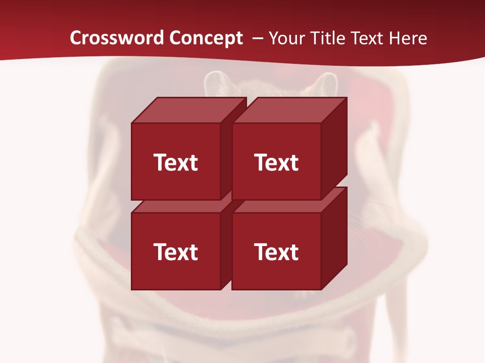 Cute Brown Gerbil Sitting In A Shoe Isolated On White PowerPoint Template