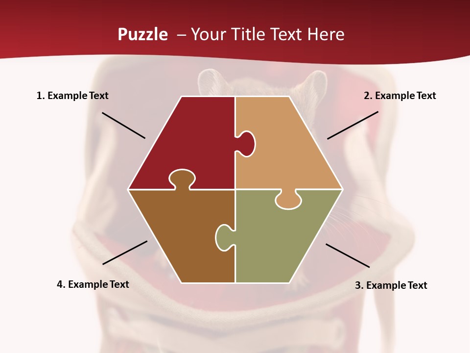 Cute Brown Gerbil Sitting In A Shoe Isolated On White PowerPoint Template