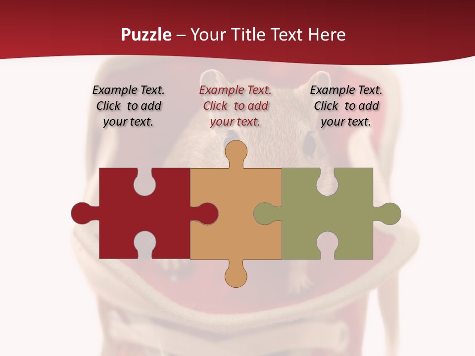 Cute Brown Gerbil Sitting In A Shoe Isolated On White PowerPoint Template