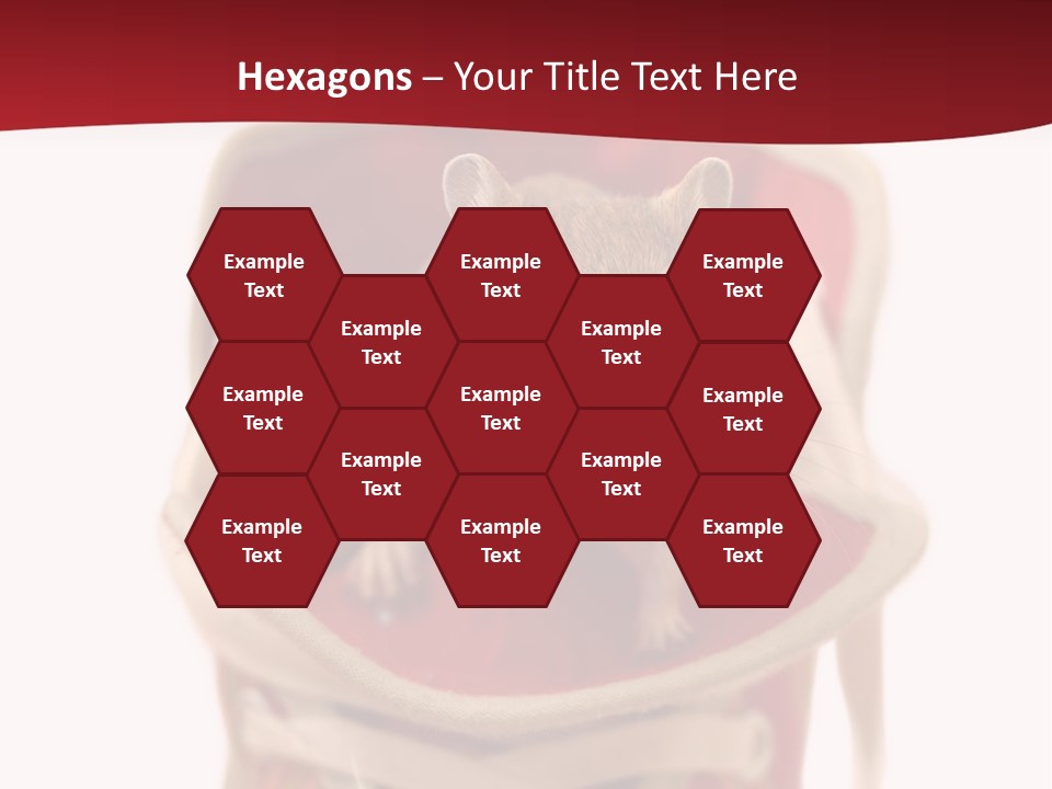 Cute Brown Gerbil Sitting In A Shoe Isolated On White PowerPoint Template