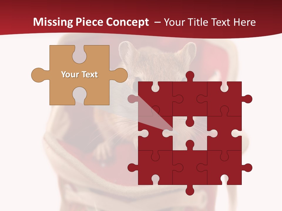 Cute Brown Gerbil Sitting In A Shoe Isolated On White PowerPoint Template