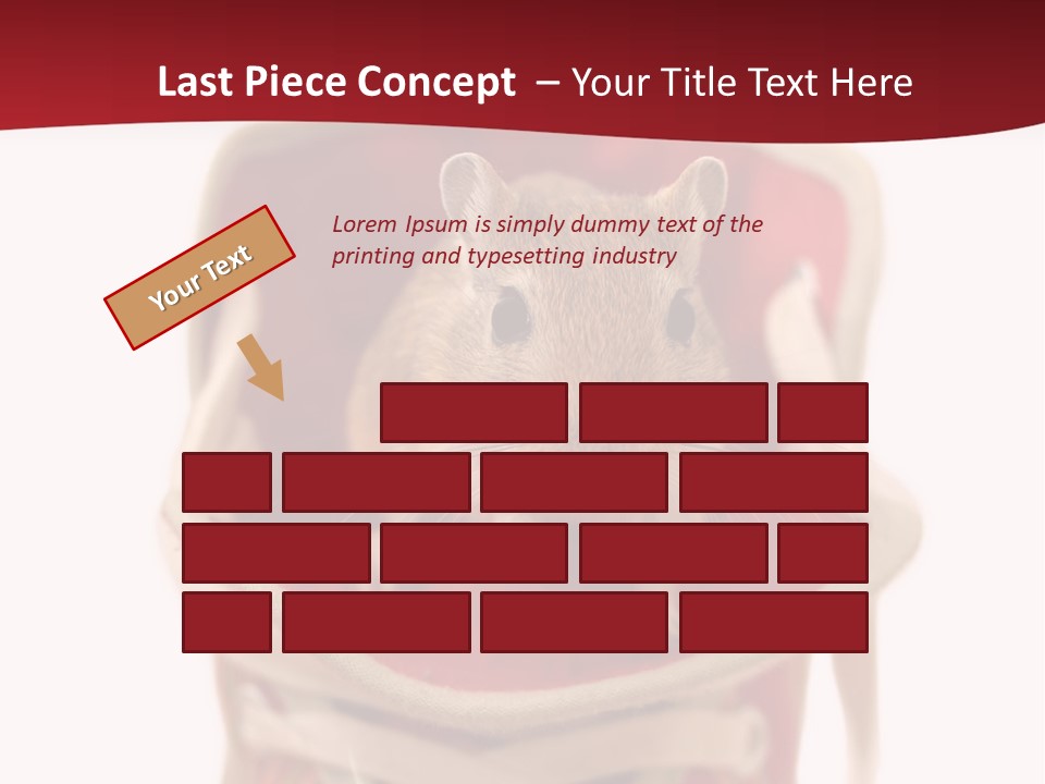 Cute Brown Gerbil Sitting In A Shoe Isolated On White PowerPoint Template