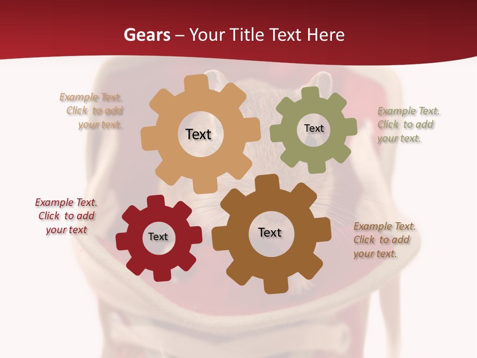 Cute Brown Gerbil Sitting In A Shoe Isolated On White PowerPoint Template