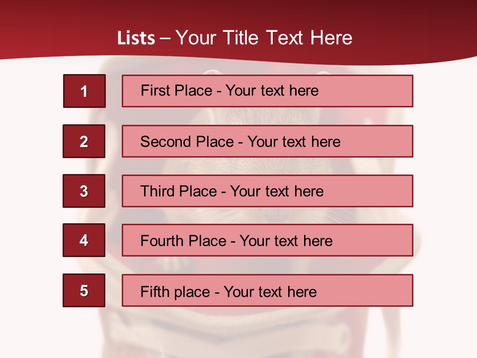 Cute Brown Gerbil Sitting In A Shoe Isolated On White PowerPoint Template