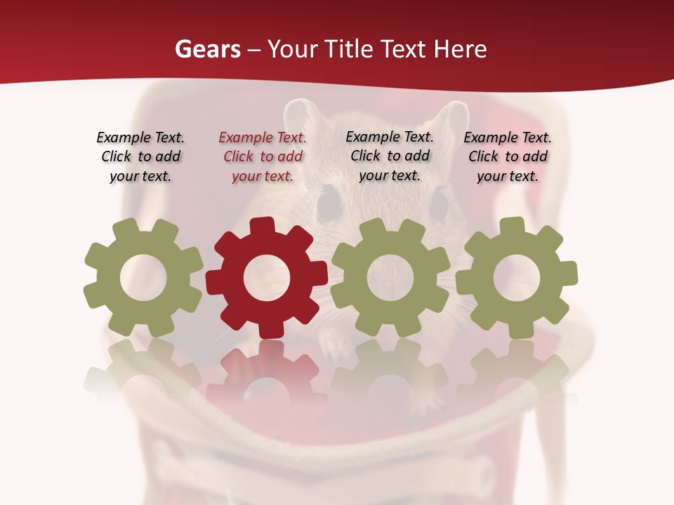 Cute Brown Gerbil Sitting In A Shoe Isolated On White PowerPoint Template