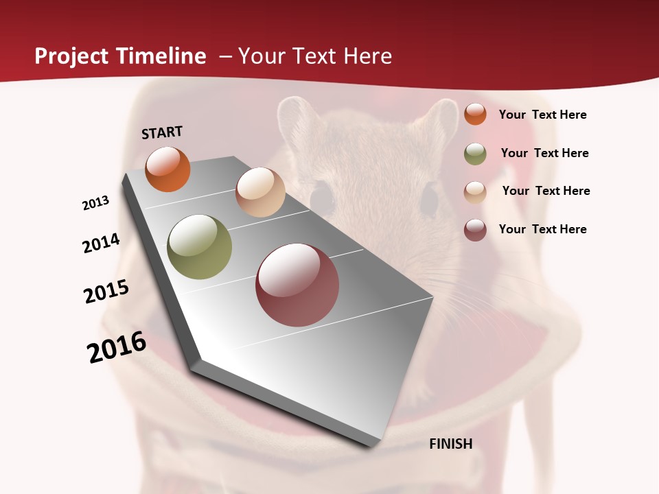 Cute Brown Gerbil Sitting In A Shoe Isolated On White PowerPoint Template