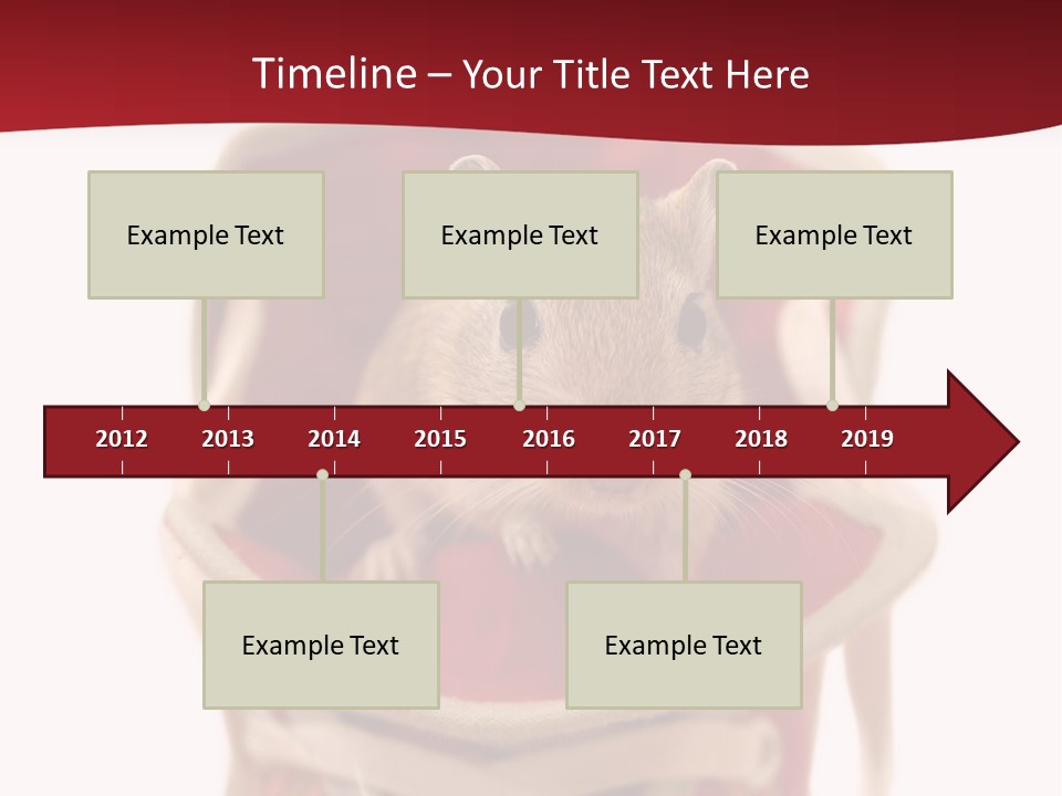 Cute Brown Gerbil Sitting In A Shoe Isolated On White PowerPoint Template