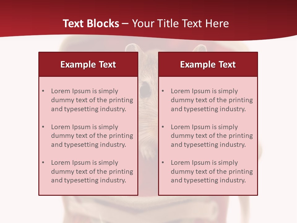 Cute Brown Gerbil Sitting In A Shoe Isolated On White PowerPoint Template