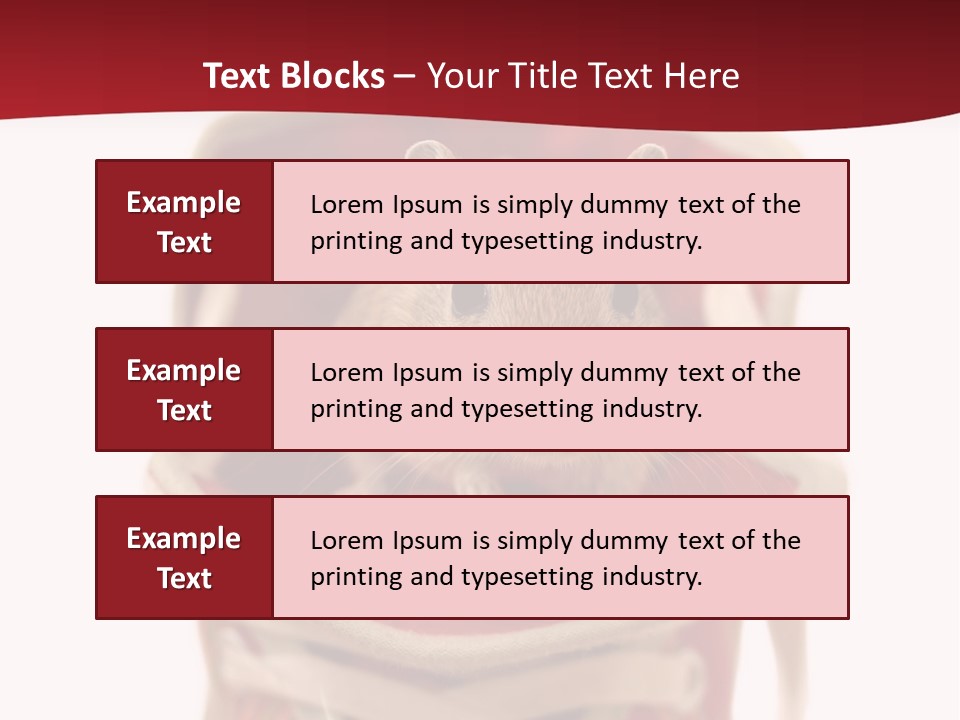 Cute Brown Gerbil Sitting In A Shoe Isolated On White PowerPoint Template