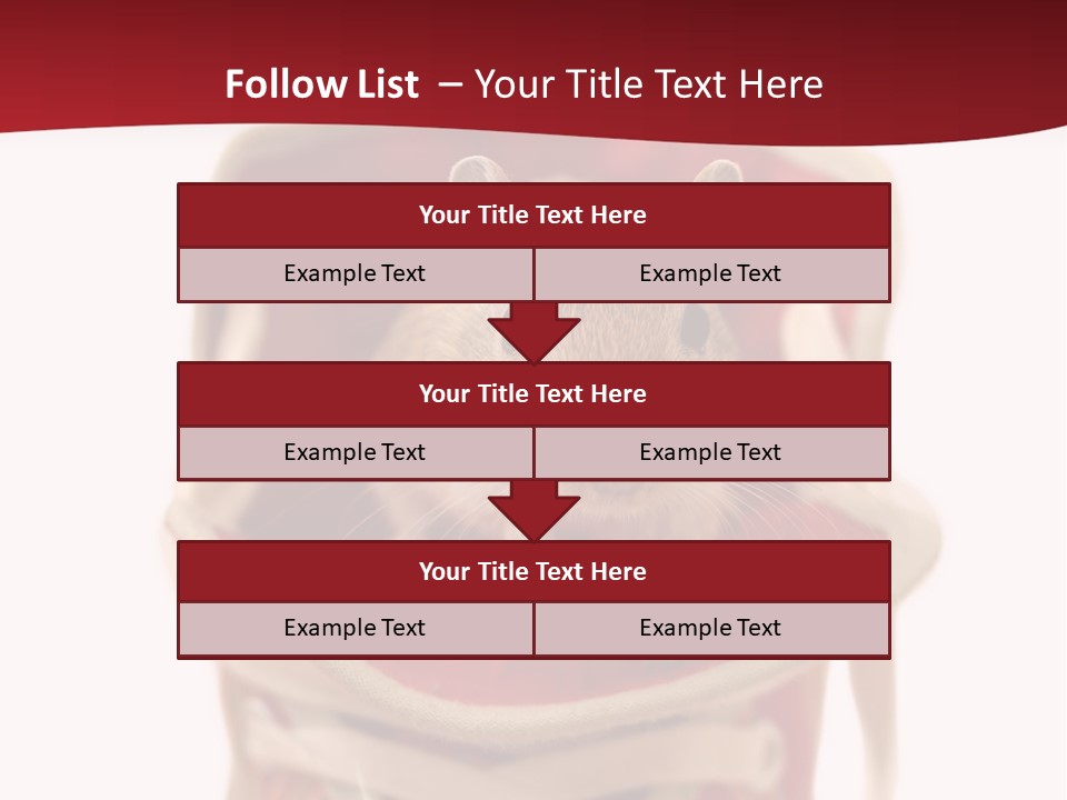 Cute Brown Gerbil Sitting In A Shoe Isolated On White PowerPoint Template