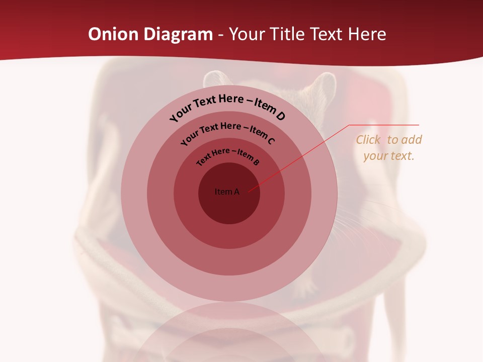 Cute Brown Gerbil Sitting In A Shoe Isolated On White PowerPoint Template