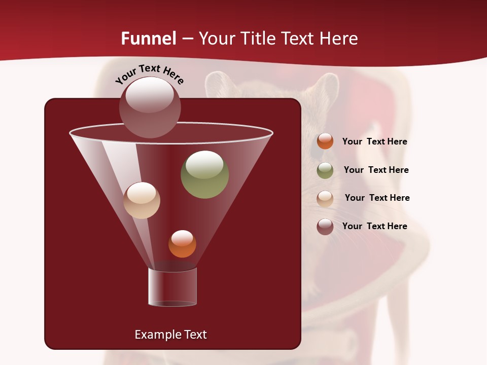 Cute Brown Gerbil Sitting In A Shoe Isolated On White PowerPoint Template