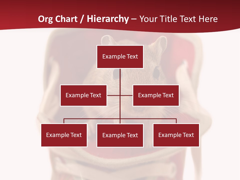 Cute Brown Gerbil Sitting In A Shoe Isolated On White PowerPoint Template