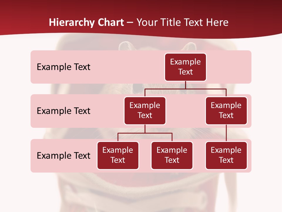Cute Brown Gerbil Sitting In A Shoe Isolated On White PowerPoint Template