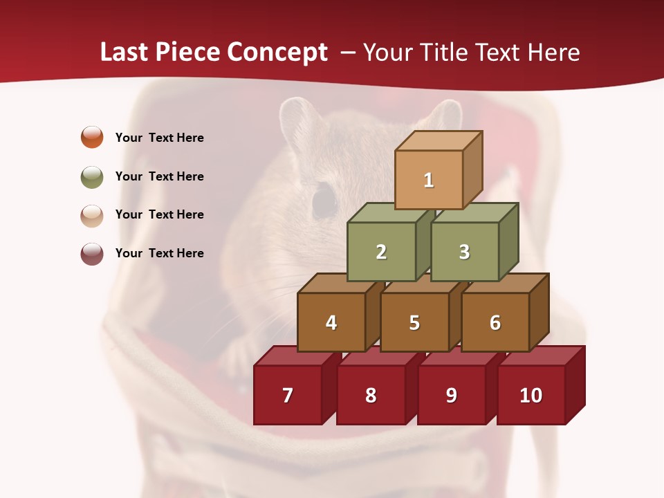 Cute Brown Gerbil Sitting In A Shoe Isolated On White PowerPoint Template