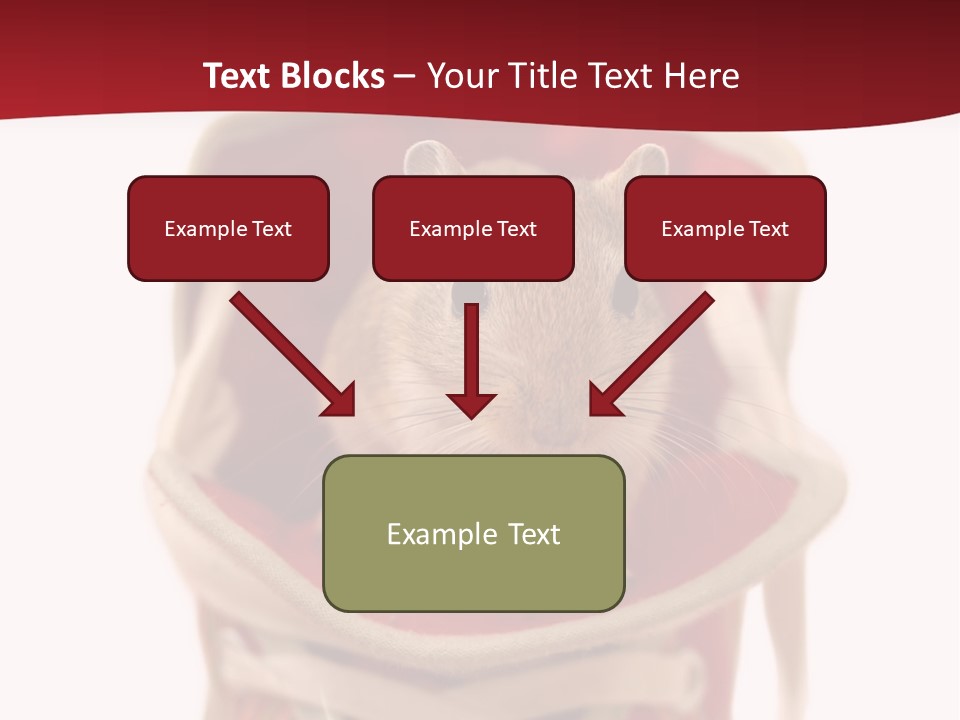 Cute Brown Gerbil Sitting In A Shoe Isolated On White PowerPoint Template