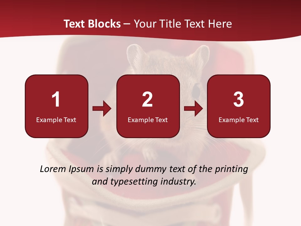 Cute Brown Gerbil Sitting In A Shoe Isolated On White PowerPoint Template