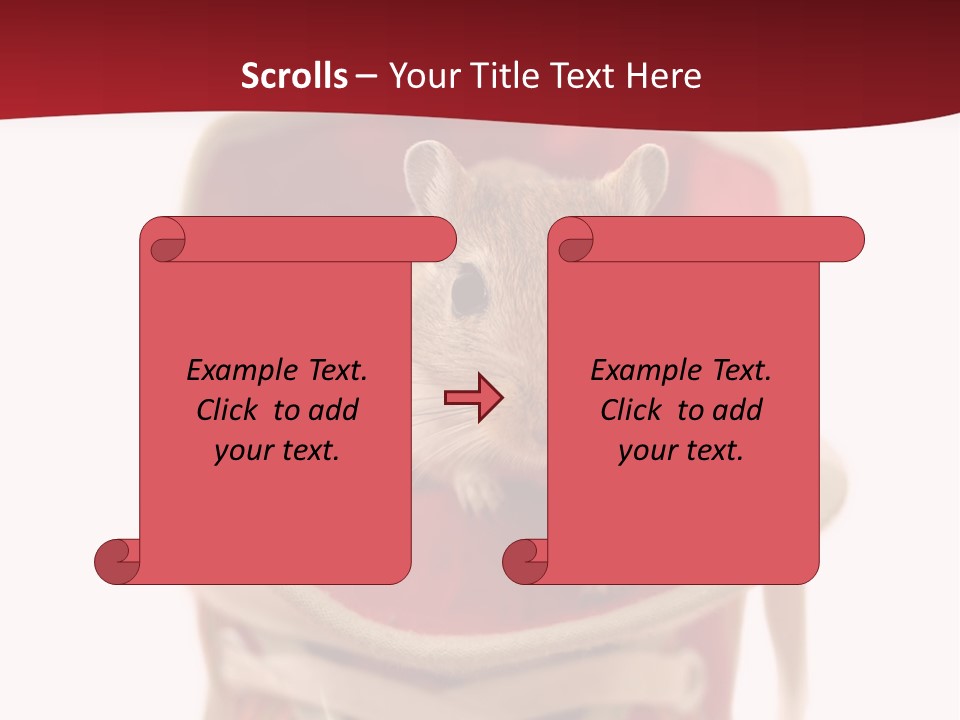 Cute Brown Gerbil Sitting In A Shoe Isolated On White PowerPoint Template