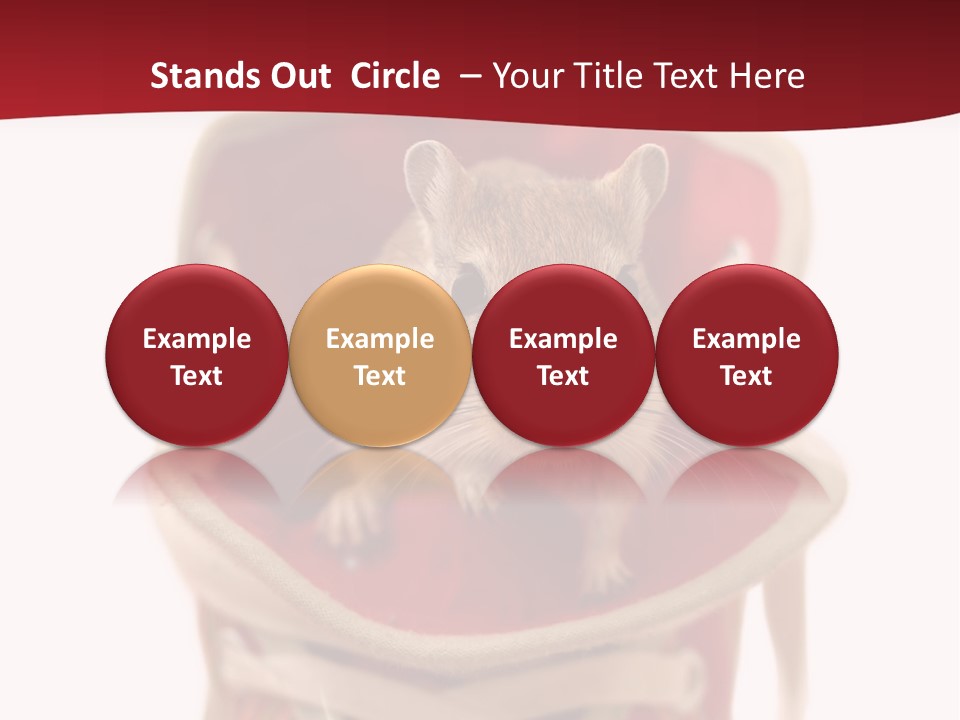 Cute Brown Gerbil Sitting In A Shoe Isolated On White PowerPoint Template