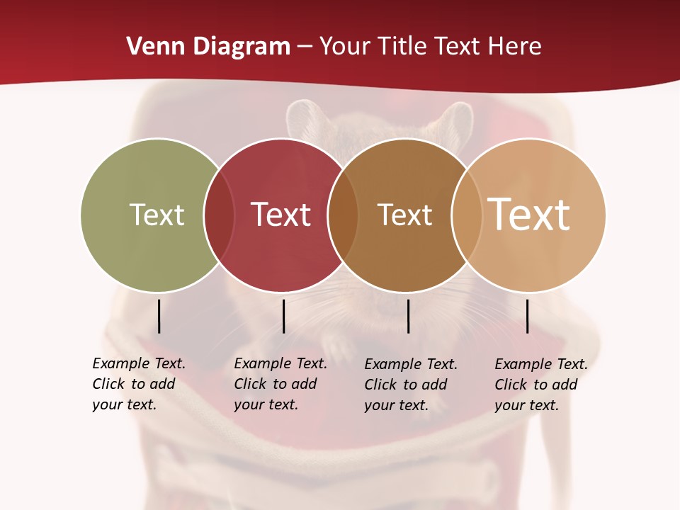 Cute Brown Gerbil Sitting In A Shoe Isolated On White PowerPoint Template