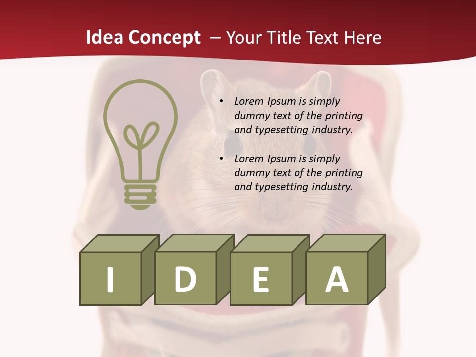 Cute Brown Gerbil Sitting In A Shoe Isolated On White PowerPoint Template