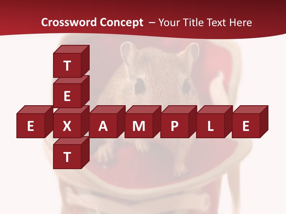 Cute Brown Gerbil Sitting In A Shoe Isolated On White PowerPoint Template