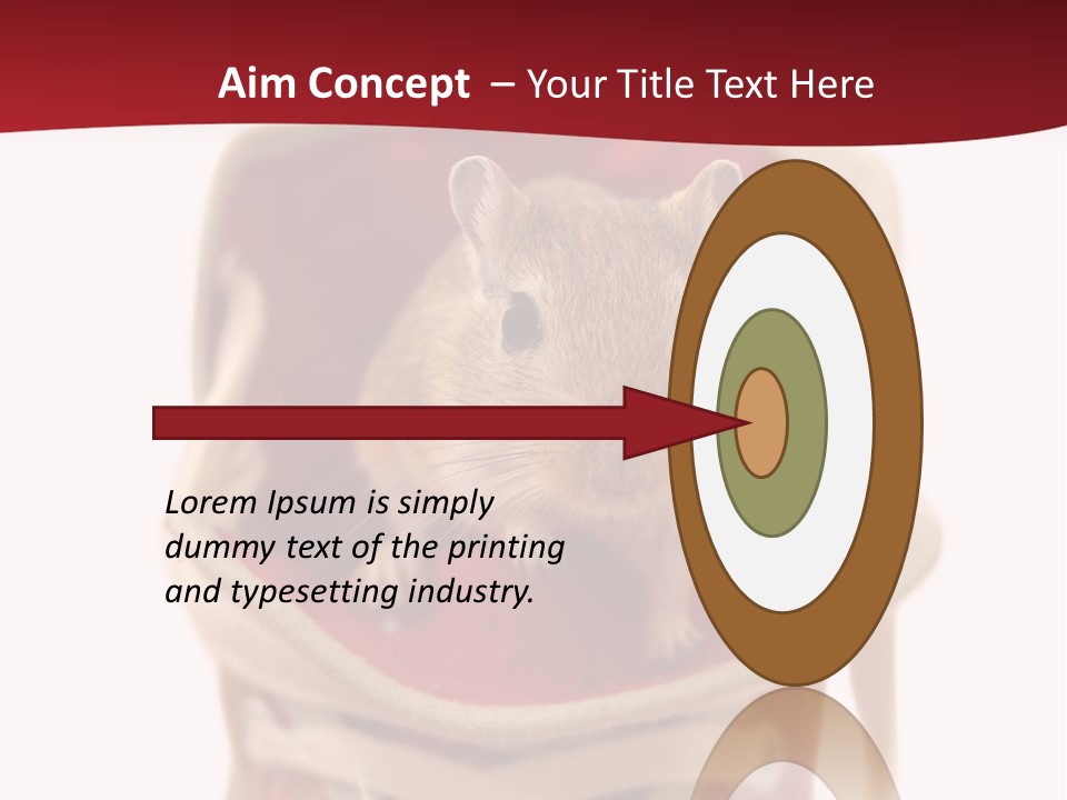 Cute Brown Gerbil Sitting In A Shoe Isolated On White PowerPoint Template