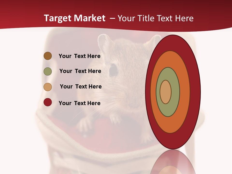 Cute Brown Gerbil Sitting In A Shoe Isolated On White PowerPoint Template