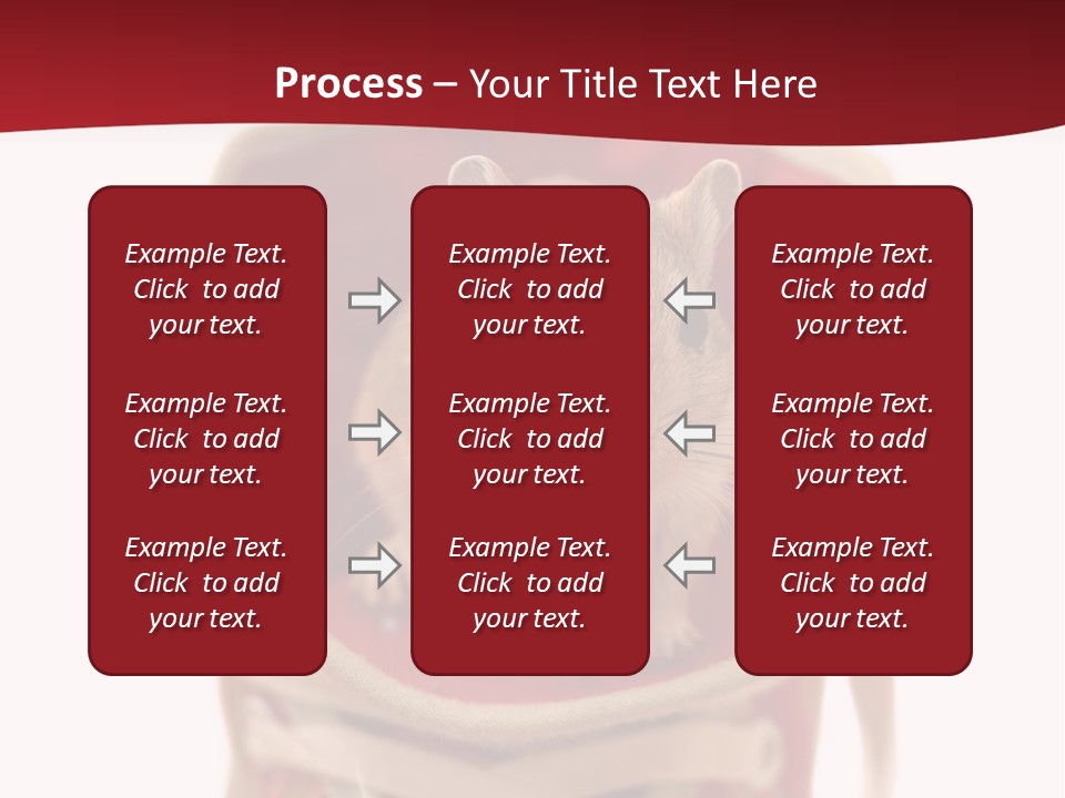 Cute Brown Gerbil Sitting In A Shoe Isolated On White PowerPoint Template