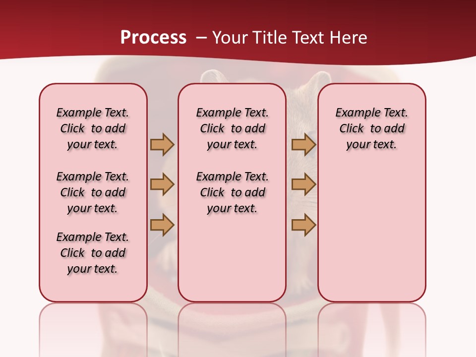 Cute Brown Gerbil Sitting In A Shoe Isolated On White PowerPoint Template