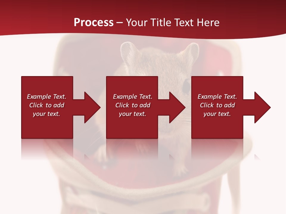 Cute Brown Gerbil Sitting In A Shoe Isolated On White PowerPoint Template